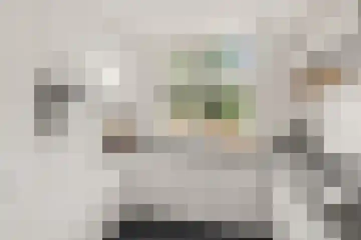 Satijnvlinder 3 Amersfoort thumbnail 4