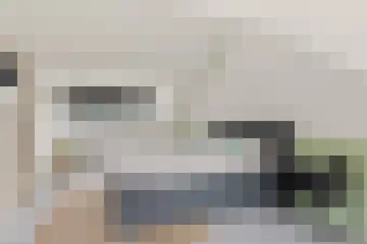 Satijnvlinder 3 Amersfoort thumbnail 41