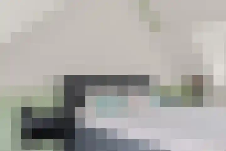 Satijnvlinder 3 Amersfoort thumbnail 43