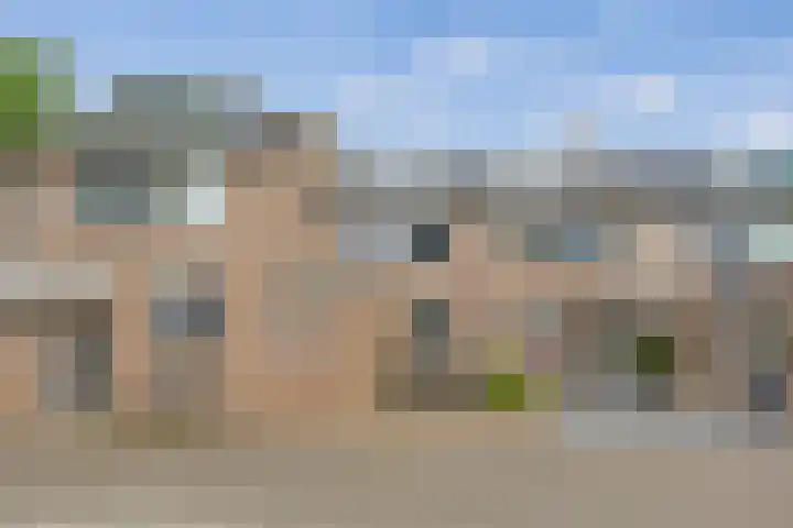 Satijnvlinder 3 Amersfoort thumbnail 48