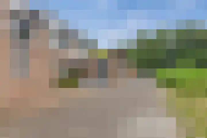 Satijnvlinder 3 Amersfoort thumbnail 49