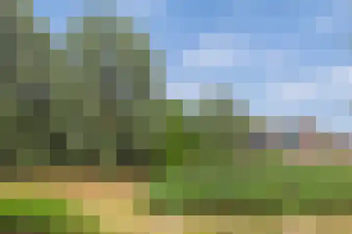 Satijnvlinder 3 Amersfoort thumbnail 50