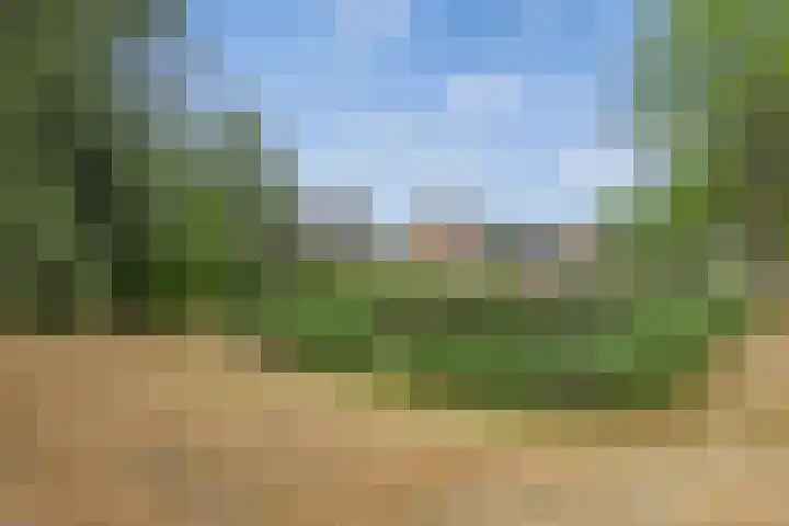Satijnvlinder 3 Amersfoort thumbnail 51