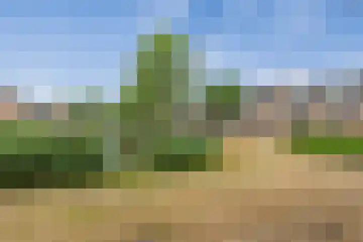 Satijnvlinder 3 Amersfoort thumbnail 52