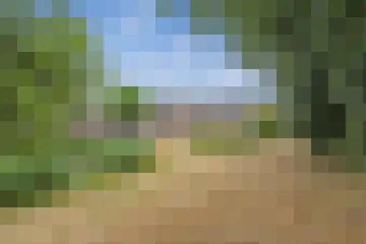 Satijnvlinder 3 Amersfoort thumbnail 6