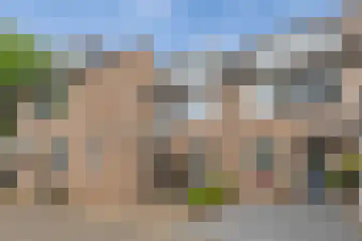 Satijnvlinder 3 Amersfoort thumbnail 7