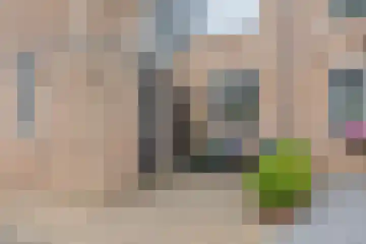 Satijnvlinder 3 Amersfoort thumbnail 8
