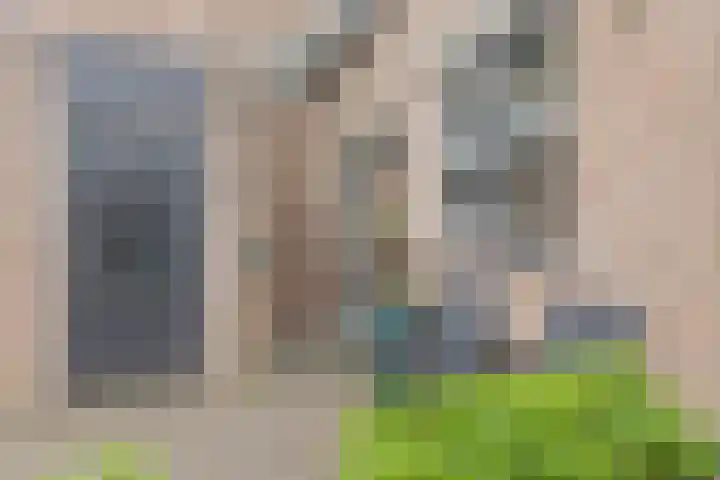 Satijnvlinder 3 Amersfoort thumbnail 9