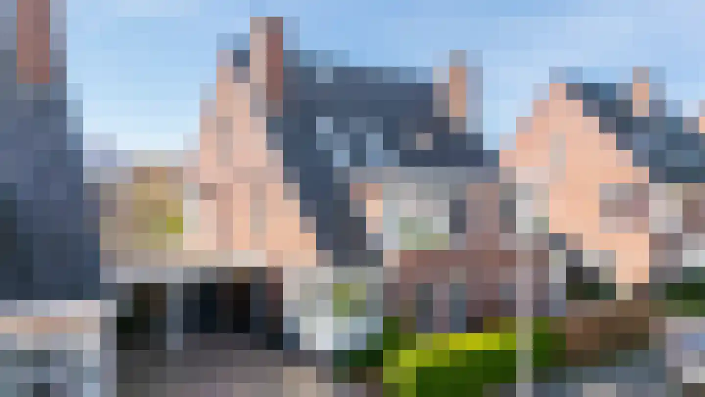 Satijnvlinder 43 dans Utrecht