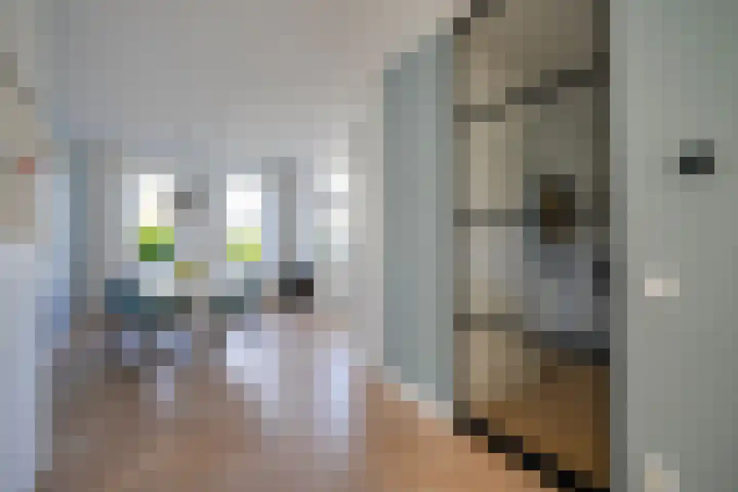 Satijnvlinder 43 Utrecht thumbnail 15
