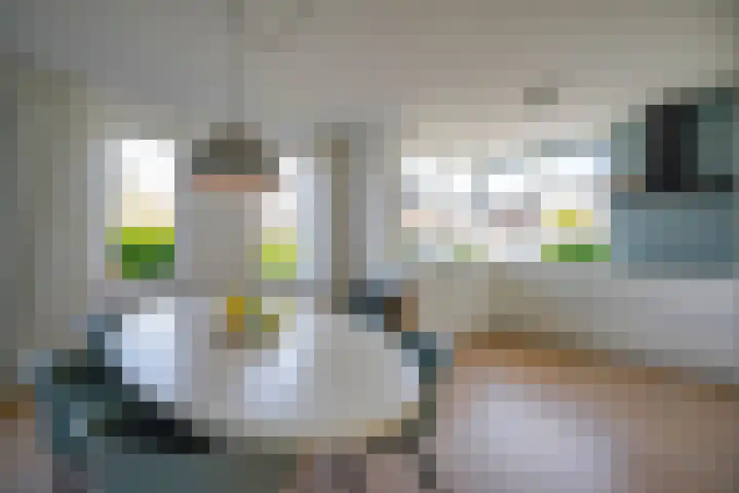 Satijnvlinder 43 Utrecht thumbnail 16