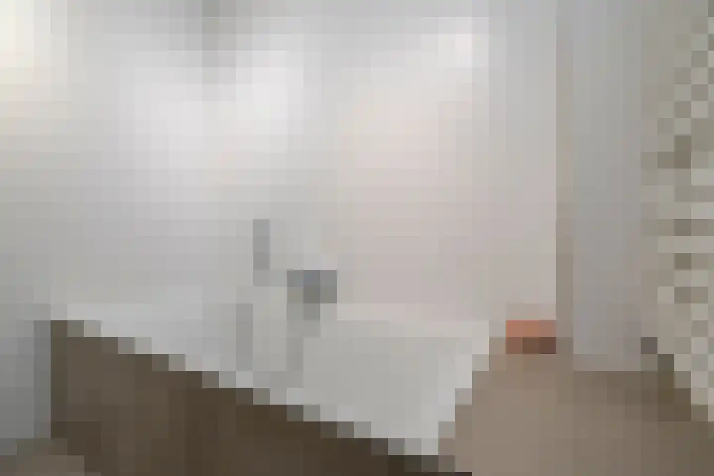 Satijnvlinder 43 Utrecht thumbnail 40
