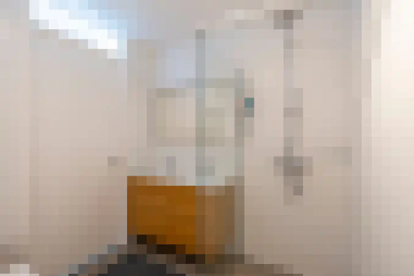 Satijnvlinder 43 Utrecht thumbnail 41