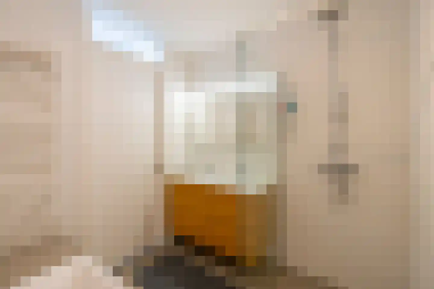 Satijnvlinder 43 Utrecht thumbnail 42