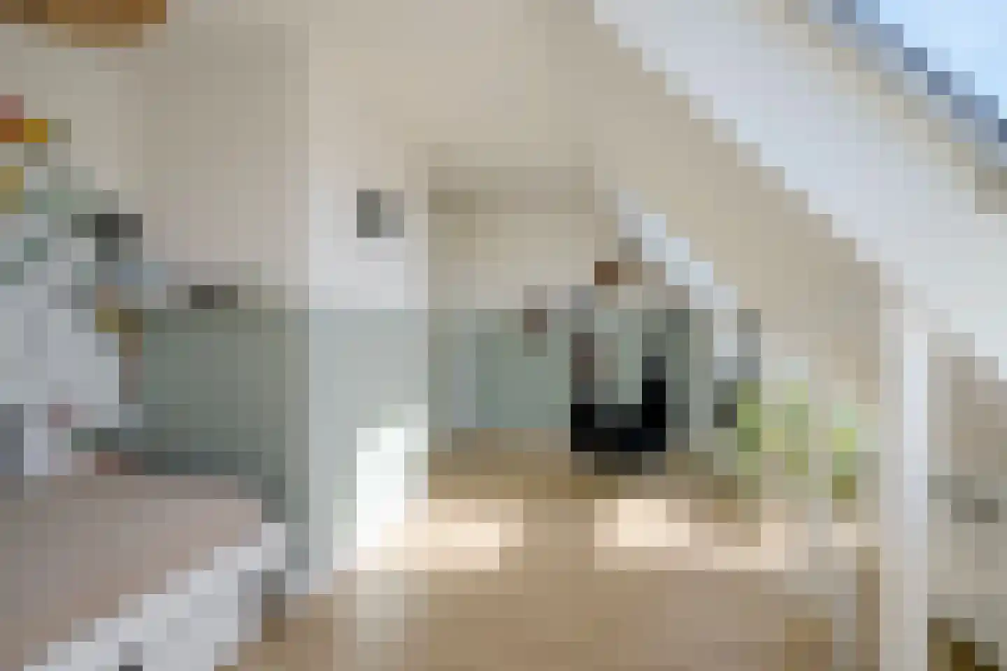 Satijnvlinder 43 Utrecht thumbnail 49