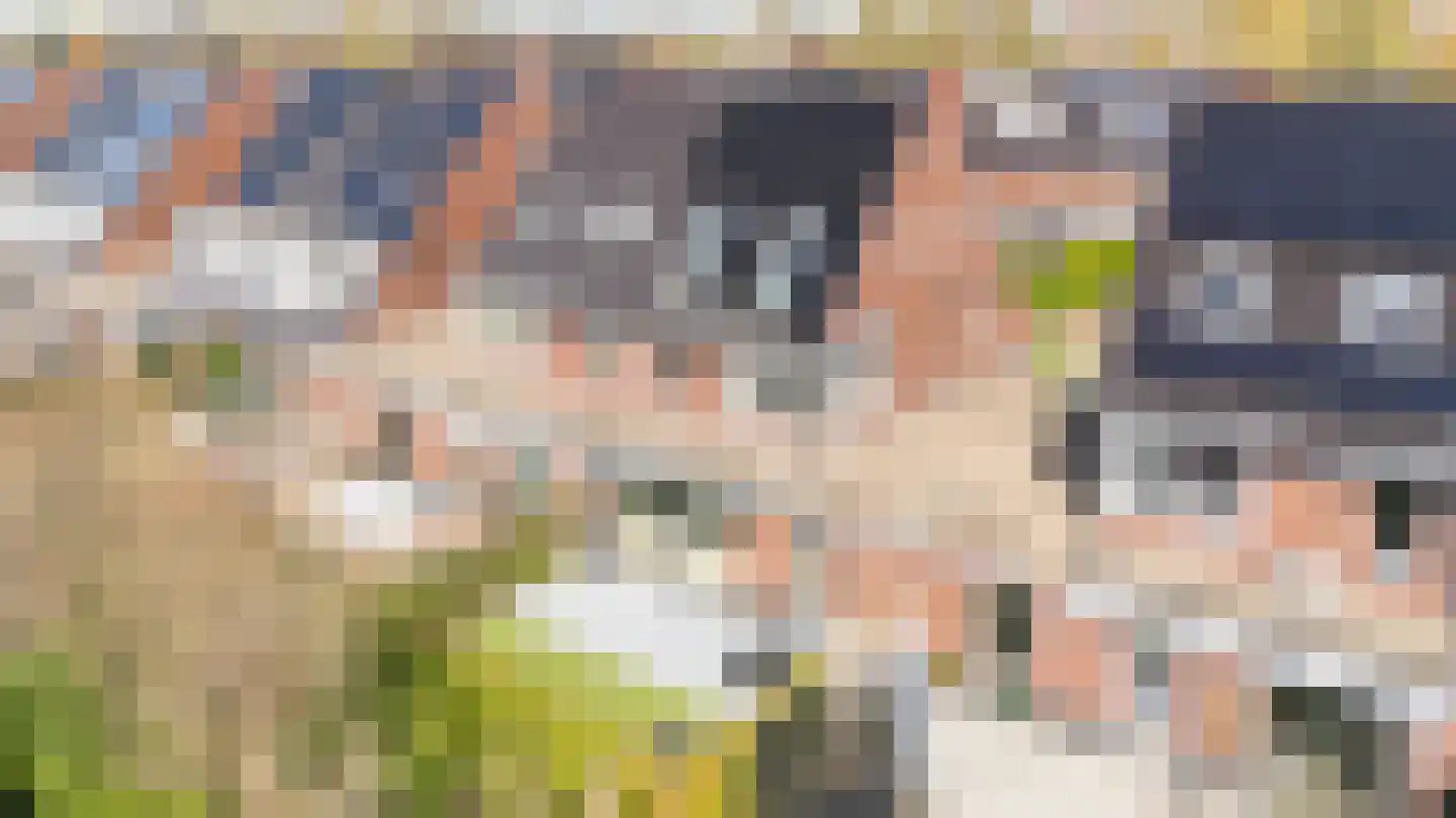 Satijnvlinder 43 Utrecht thumbnail 55