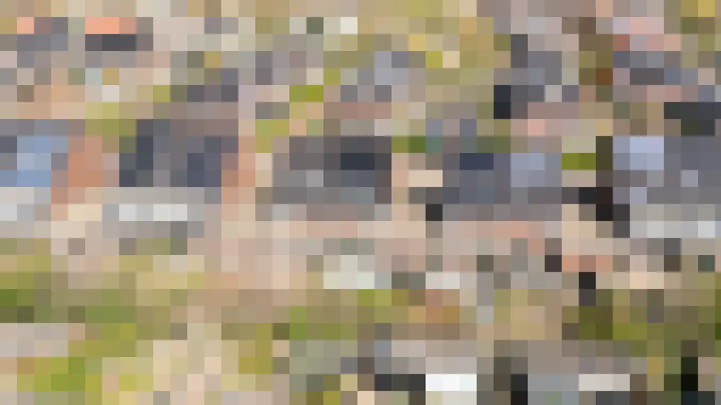 Satijnvlinder 43 Utrecht thumbnail 56