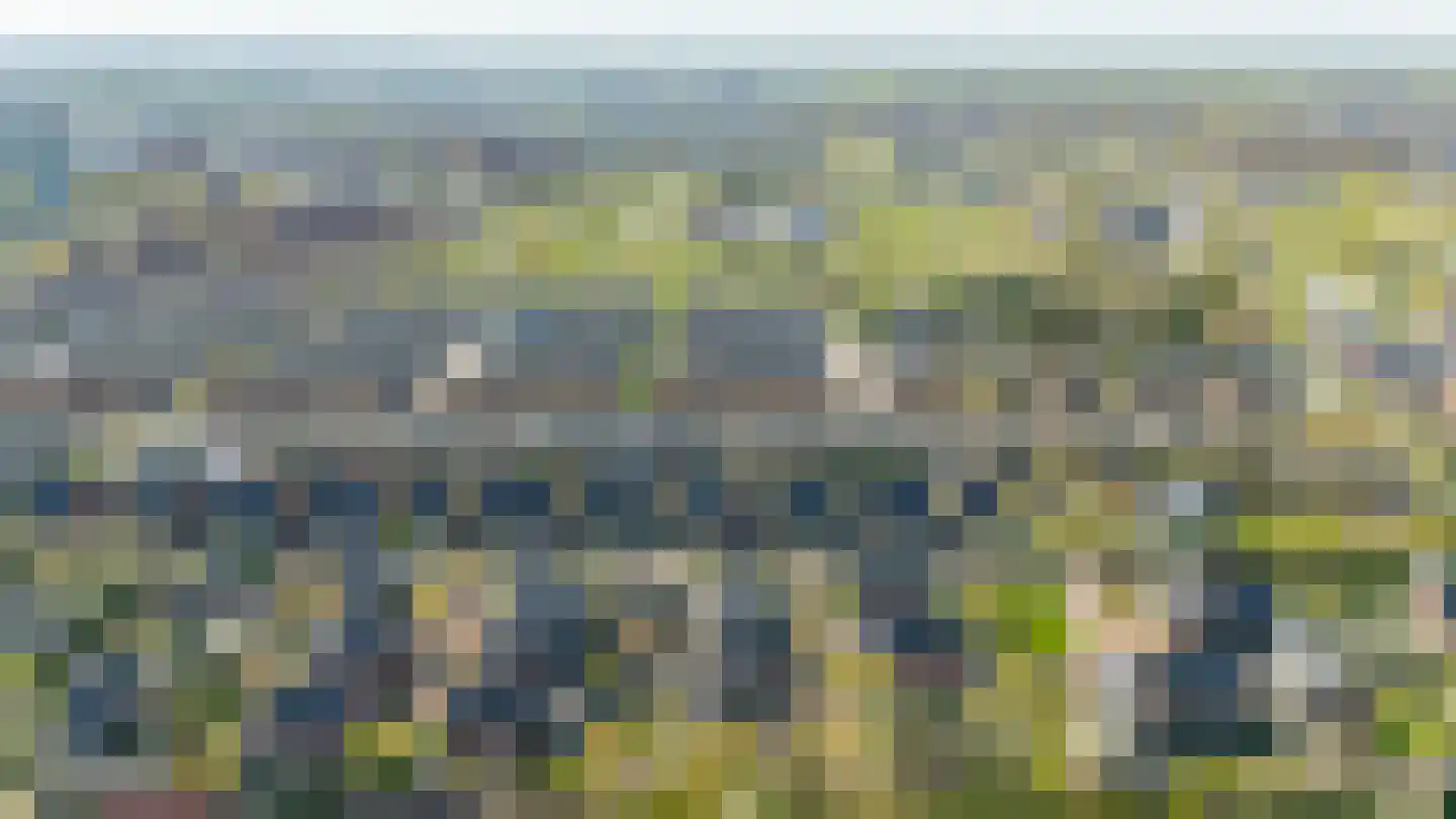 Satijnvlinder 43 Utrecht thumbnail 58