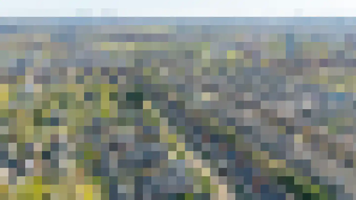 Satijnvlinder 43 Utrecht thumbnail 59