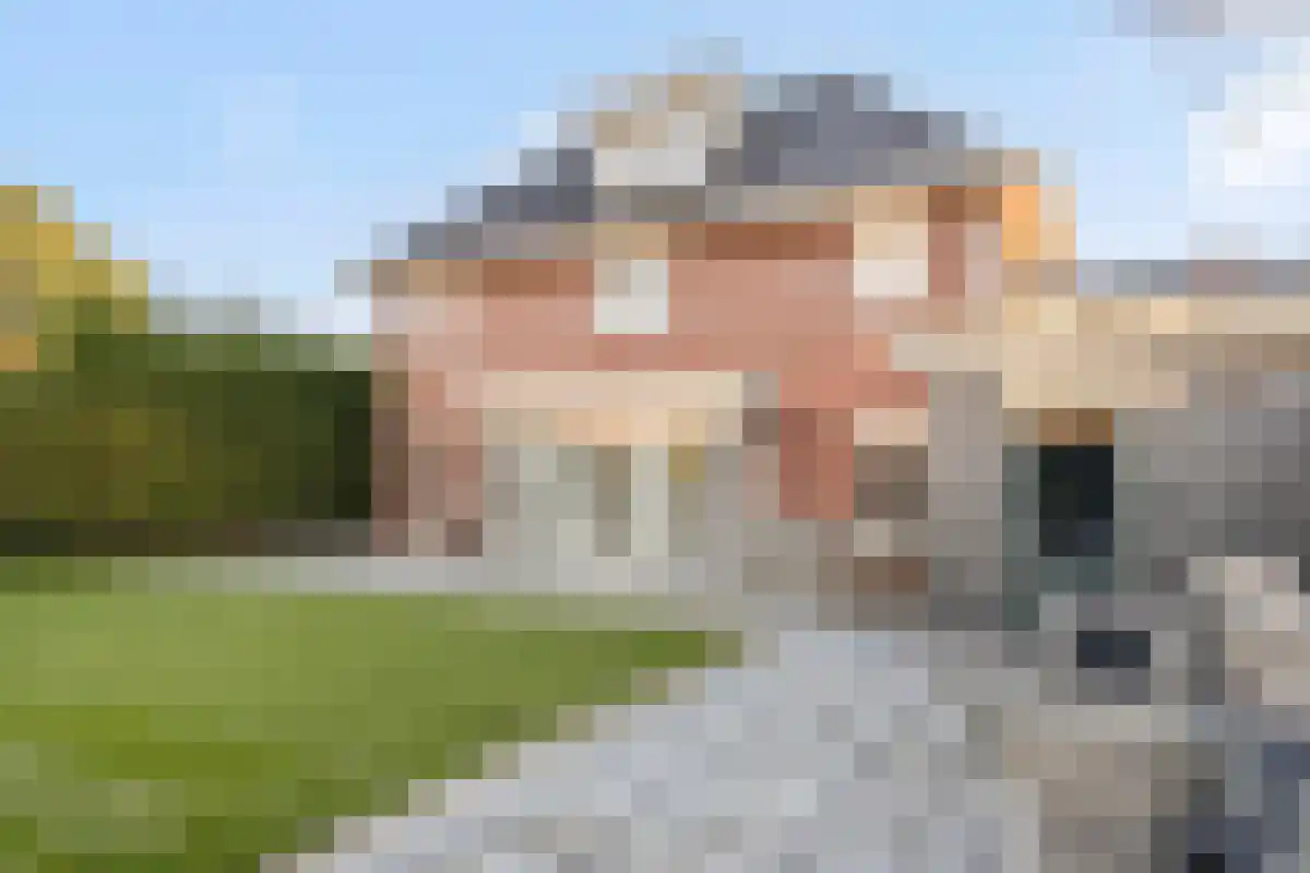 Satijnvlinder 64 Utrecht thumbnail 5