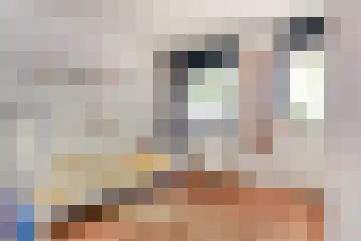 Satijnvlinderlaan 10 Son en Breugel thumbnail 14