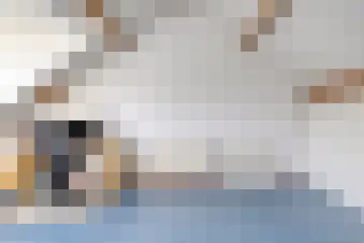 Satijnvlinderlaan 10 Son en Breugel thumbnail 23