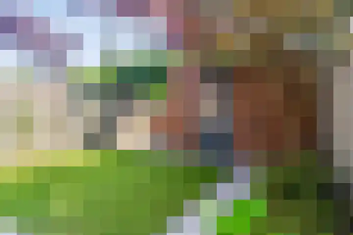Satijnvlinderlaan 10 Son en Breugel thumbnail 25