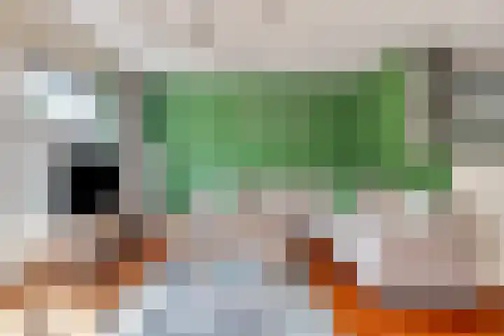 Satijnvlinderlaan 10 Son en Breugel foto 3