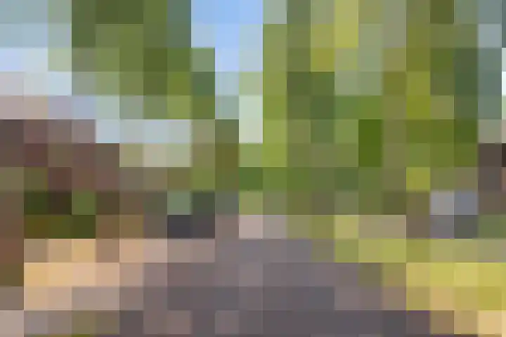 Satijnvlinderlaan 10 Son en Breugel thumbnail 31