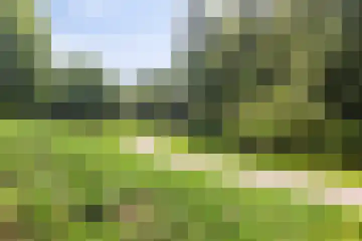 Satijnvlinderlaan 10 Son en Breugel thumbnail 32