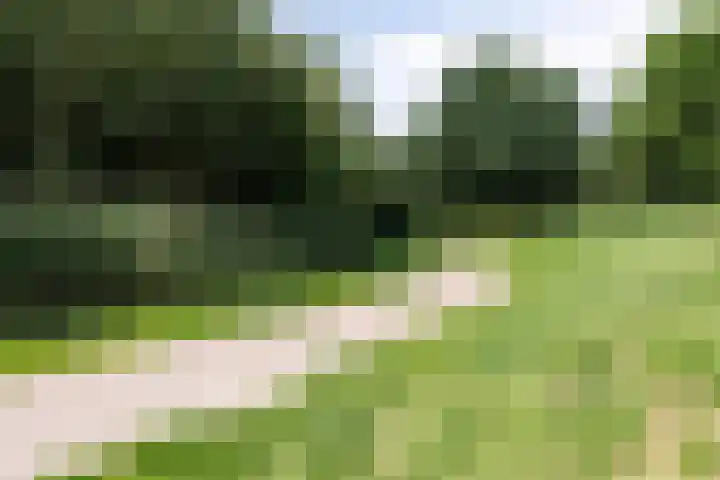 Satijnvlinderlaan 10 Son en Breugel thumbnail 33