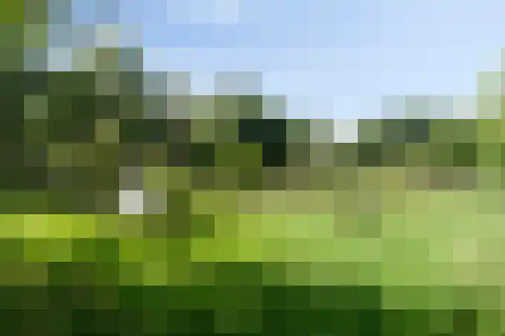 Satijnvlinderlaan 10 Son en Breugel thumbnail 34