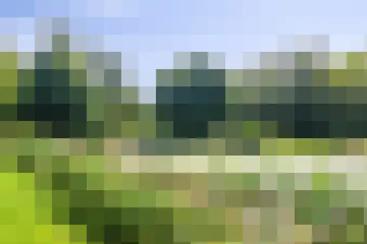 Satijnvlinderlaan 10 Son en Breugel thumbnail 35
