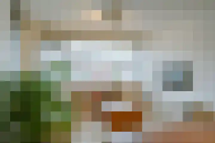 Satijnvlinderlaan 15 Son en Breugel thumbnail 10