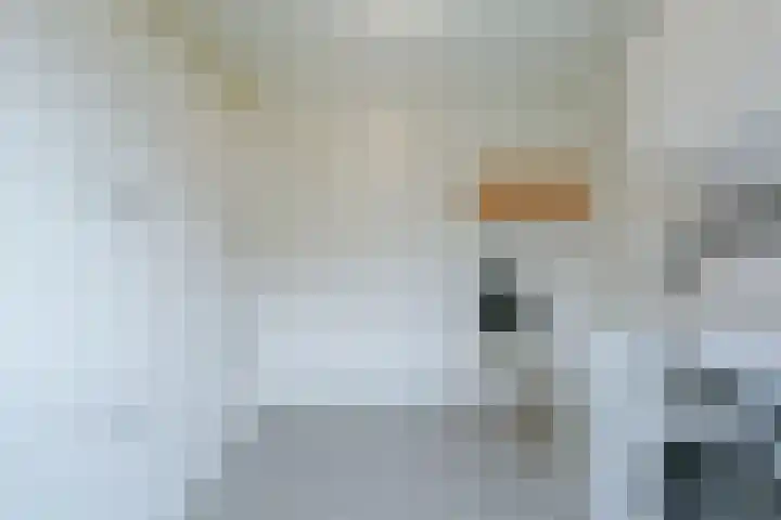 Satijnvlinderlaan 15 Son en Breugel thumbnail 22