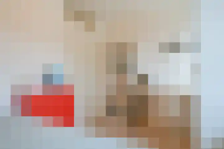 Satijnvlinderlaan 15 Son en Breugel thumbnail 23
