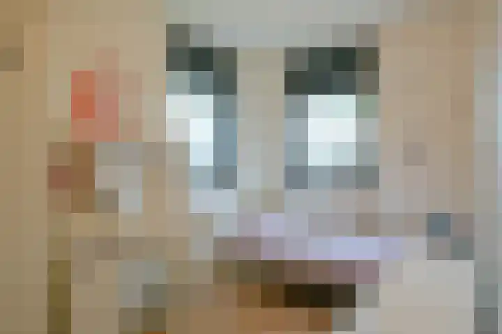 Satijnvlinderlaan 15 Son en Breugel thumbnail 25