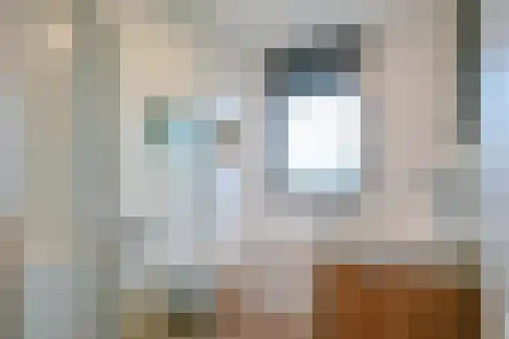 Satijnvlinderlaan 15 Son en Breugel thumbnail 27