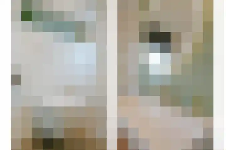 Satijnvlinderlaan 15 Son en Breugel thumbnail 28