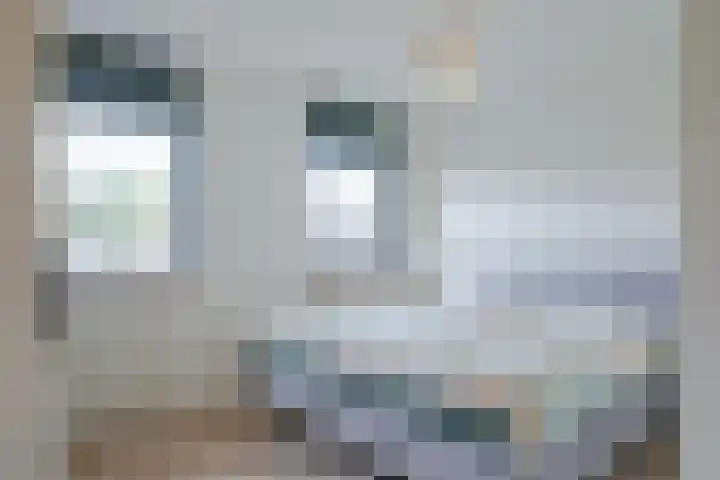 Satijnvlinderlaan 15 Son en Breugel thumbnail 30