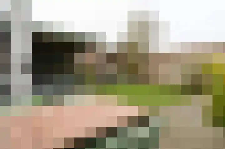 Satijnvlinderlaan 15 Son en Breugel thumbnail 38