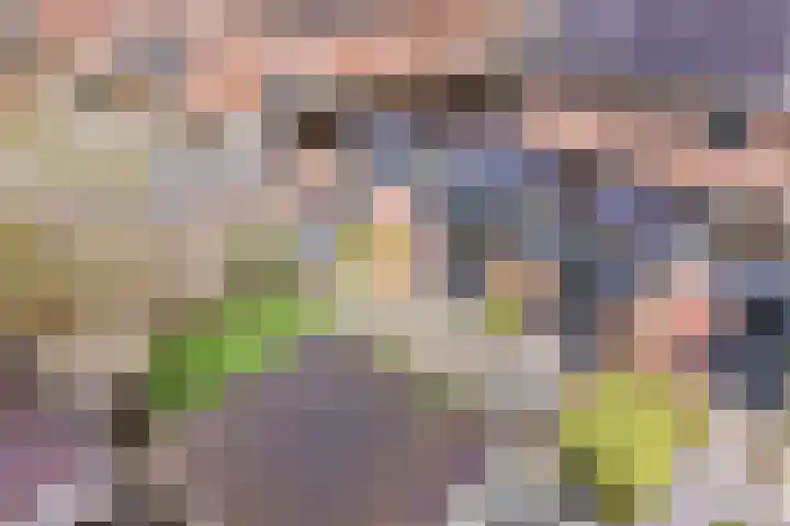 Satijnvlinderlaan 15 Son en Breugel thumbnail 39