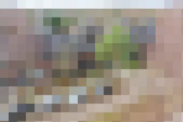 Satijnvlinderlaan 15 Son en Breugel thumbnail 41