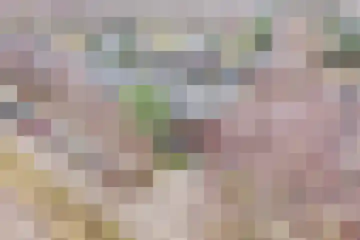 Satijnvlinderlaan 15 Son en Breugel thumbnail 42