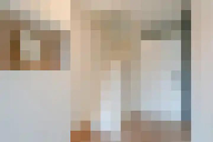 Satijnvlinderlaan 15 Son en Breugel thumbnail 6