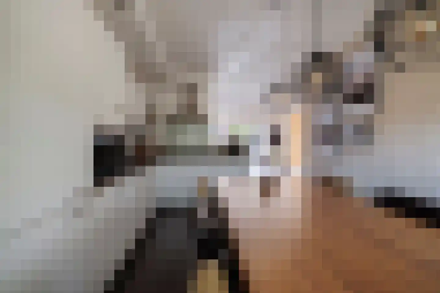 Satijnvlinderlaan 16 Son en Breugel thumbnail 20