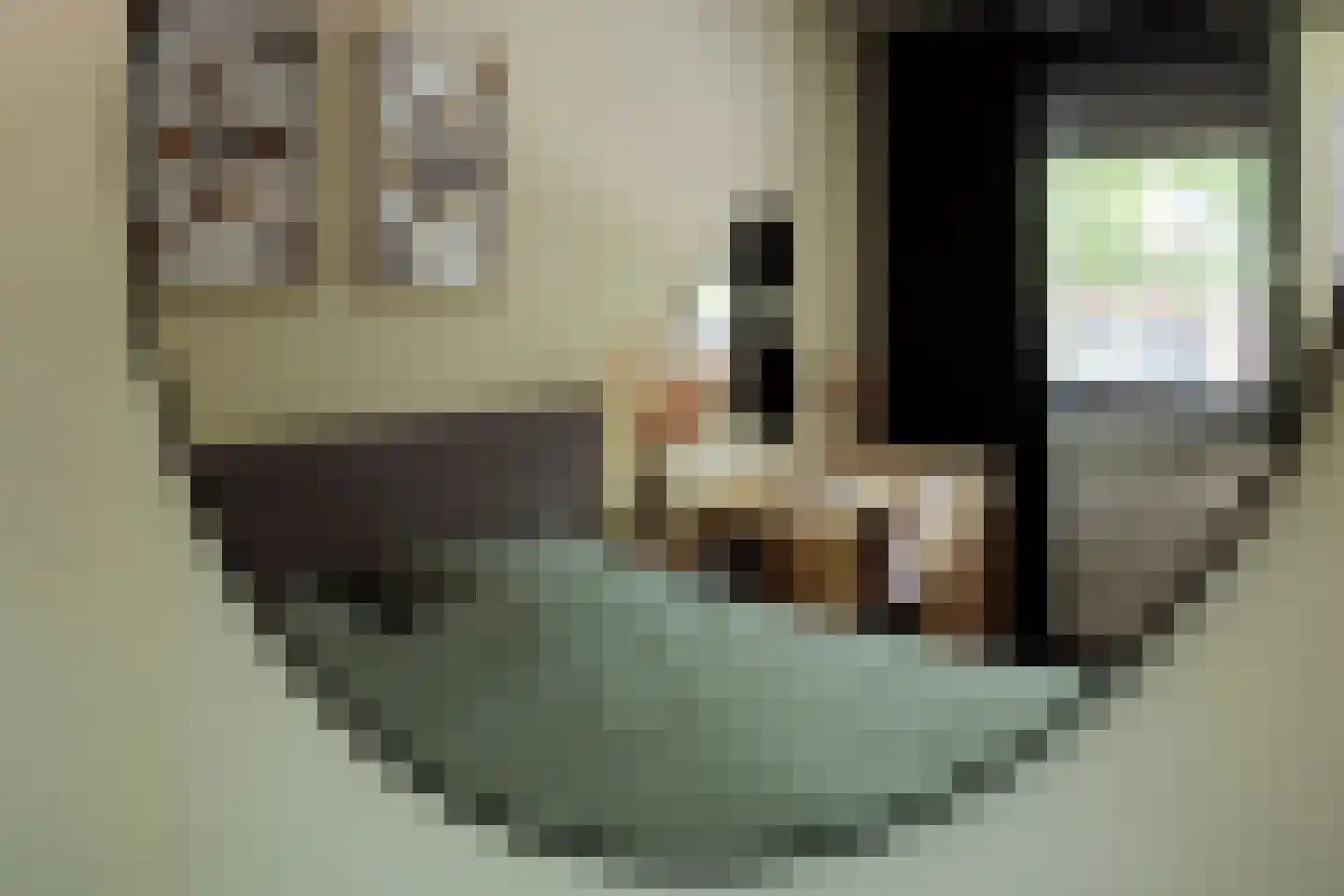 Satijnvlinderlaan 16 Son en Breugel thumbnail 29