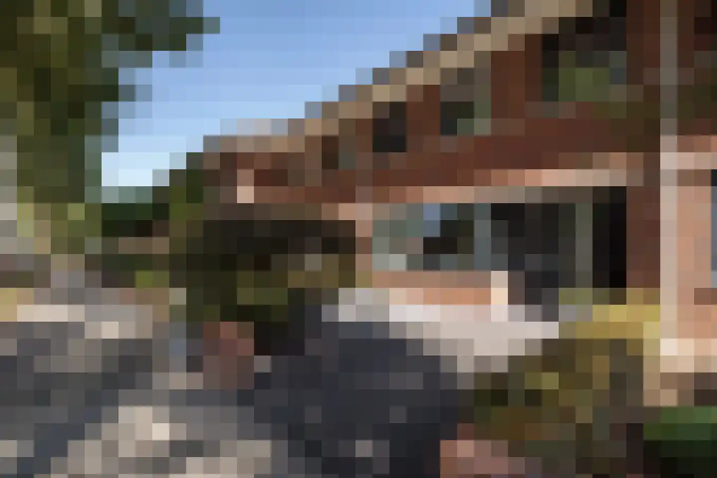 Satijnvlinderlaan 16 Son en Breugel foto 3