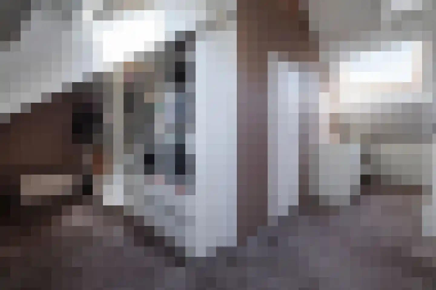 Satijnvlinderlaan 16 Son en Breugel thumbnail 36