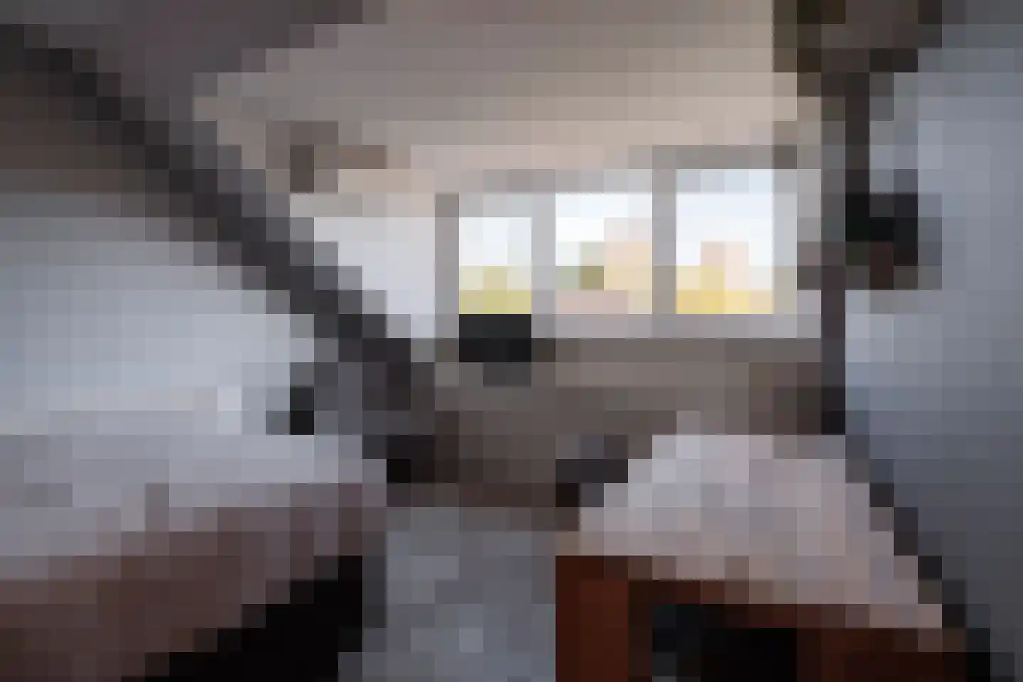 Satijnvlinderlaan 16 Son en Breugel thumbnail 38